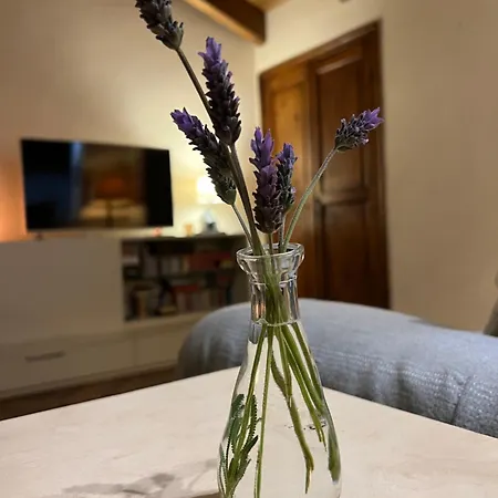 Meima Hanbury's Gardens *