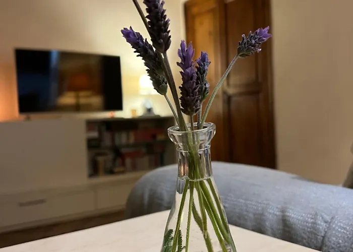 Meima Hanbury's Gardens *